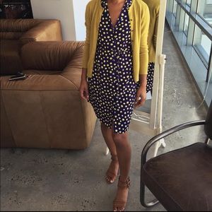 Bold Polka Dot Shirt Dress
